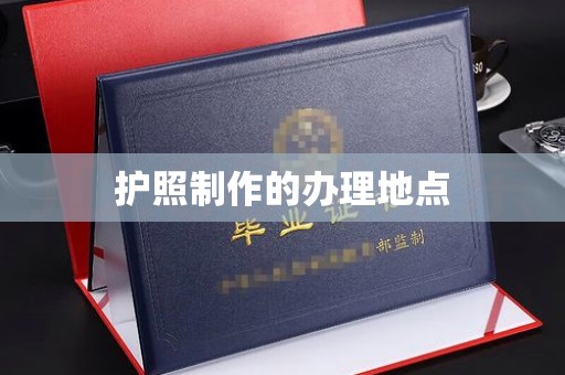 新平护照制作的办理地点